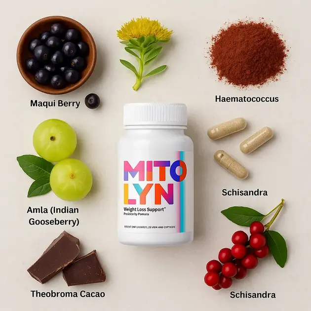 mitolyn ingredients